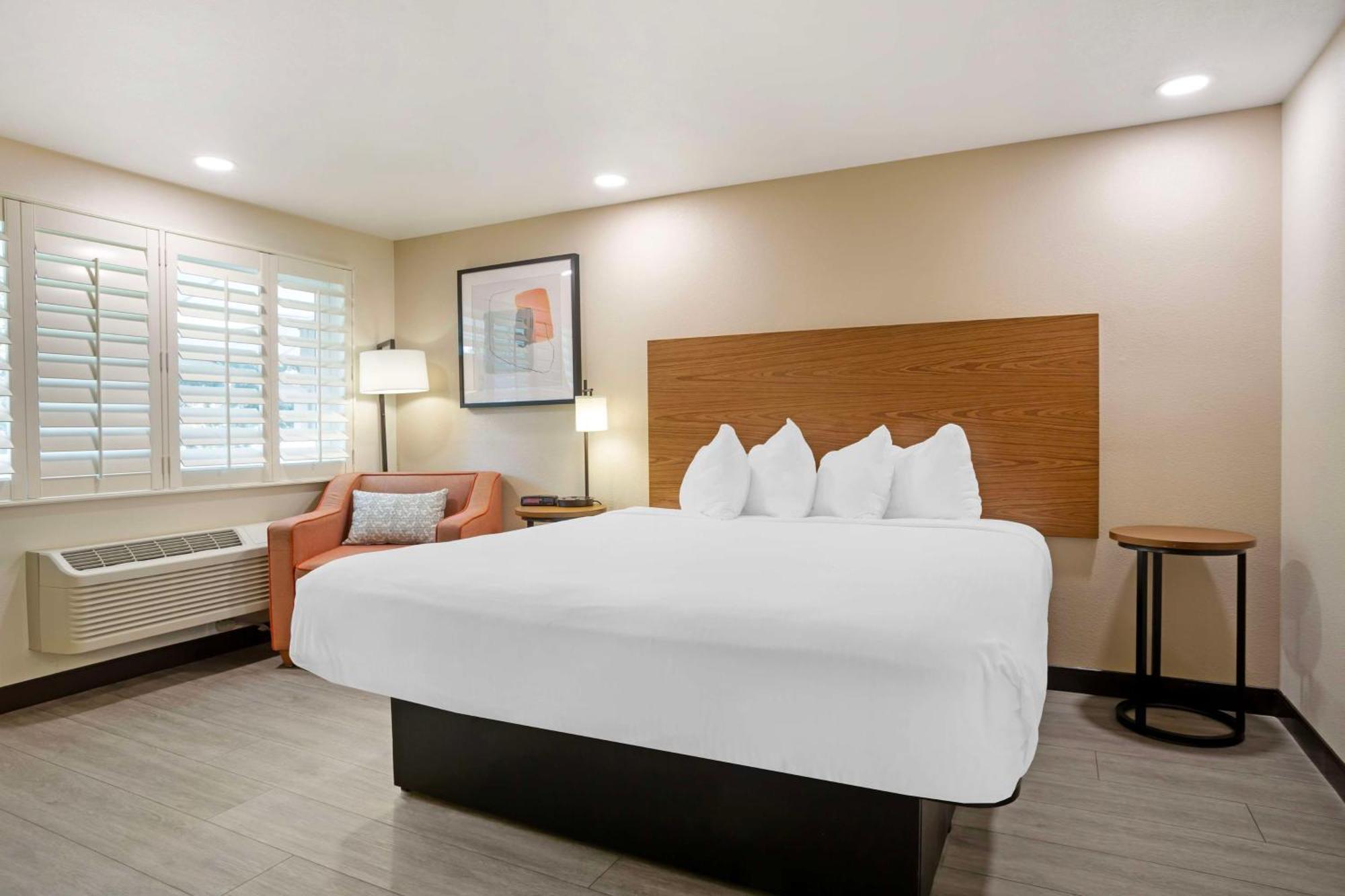 King Room,1622181436:JPEG